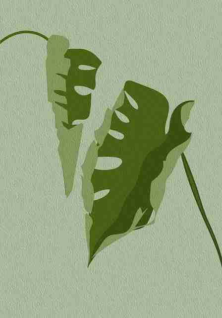热点透视 · 91网、91爆料 — 精炼实战手册,热点透视 百家号